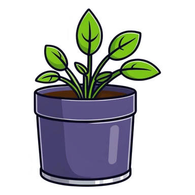 Young Plectranthus Verticillatus sprouts with perfectly circular penny-shaped leaves in a modern metallic planter sticker
