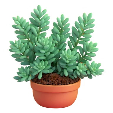 Sedum Pachyphyllum succulent with chubby blue-green leaves sticker