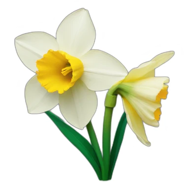daffodils flower sticker