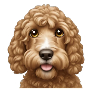 Cashew cockapoo sticker