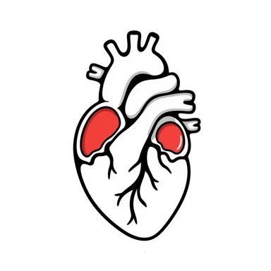 A hand-drawn anatomical heart with detailed chambers and arteries in medical diagram style, showing blue veins and red arteries, with clear internal structure, oxygenated blood in red and deoxygenated blood in blue sticker