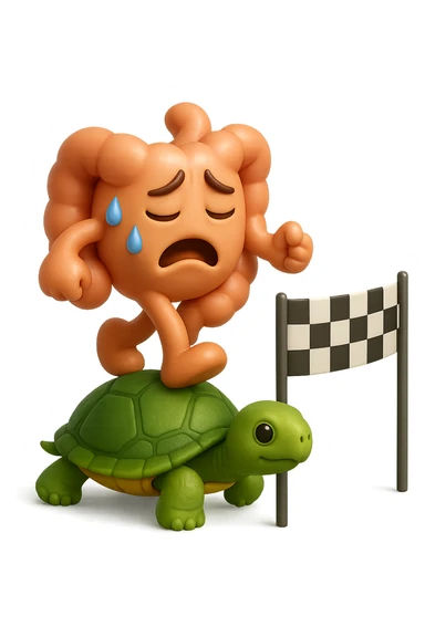  EMOJI STILE IPHONE 3D DI UN INTESTINO CON ESPRESSIONE ANGOSCIATA CHE CAMMINA SUL GUSCIO DI UNA TARTARUGA IN ATTESA ESTENUANTE DI RAGGIUNGERE UN TRAGUARDO POCO PIù AVANTI, SULLA LORO DESTRA. IL TRAGUARDO è UNA BANDIERA A DUE PIEDI CON FASCIA A SCACCHI BIANCHI E NERI. iperrealistico 4k sticker