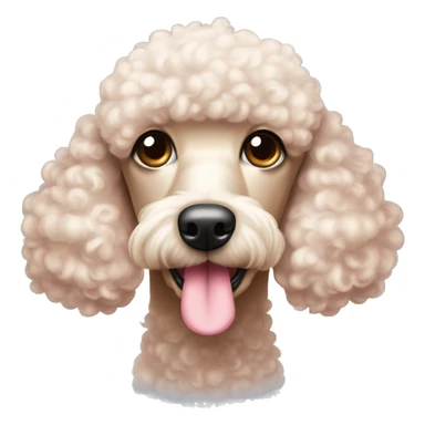 Poodle Cor champanhe usando uma lacinho rosa na cabeça  sticker