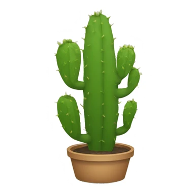single flat Nopal without pot sticker