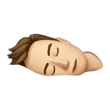 Elon musk sleeping sticker