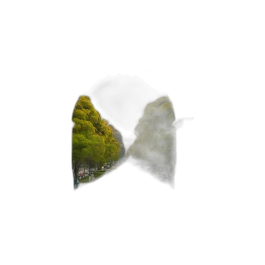 UC Berkeley sather gate sticker