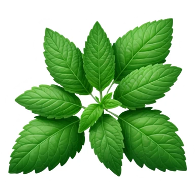 Peppermint (Mentha \(\times \) piperita)  sticker