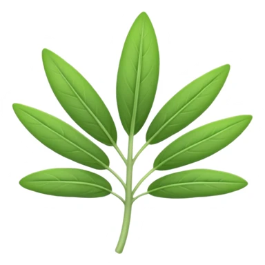 sage herb sticker