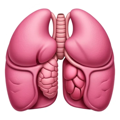 stomach organ sticker