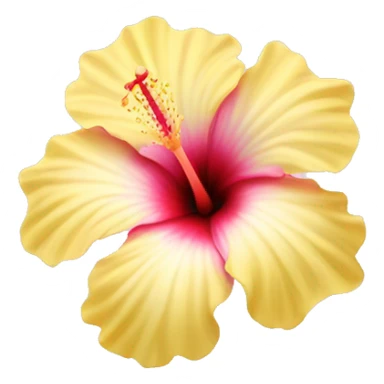 light pink hibiscus with a light yellow on the inside sticker