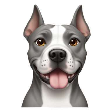 Gray Staffordshire terrier with pointy ears   sticker