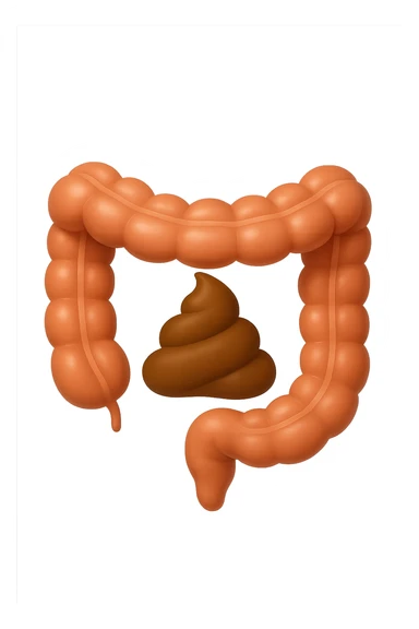 EMOJI STILE IPHONE DI UN TRATTO DI COLON INTESTINALE CHE FLUTTUA IN ARIA CON ALL'INTERNO DELLE FECI, IPERREALISTICO 4K sticker