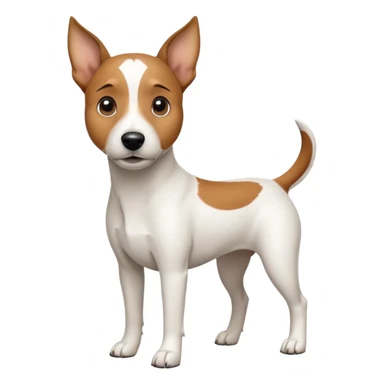 a full body white jack russel looking dog the size of a kelpie with light brown ears and a light brown patch on one eye, flopped down ears and a large snout sticker