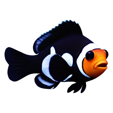 Black photom clownfish sticker