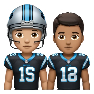Panthers nfl team sticker