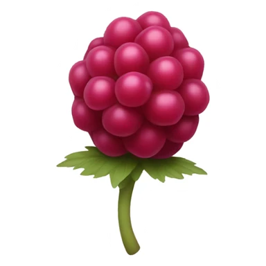a simplistic raspberry sticker