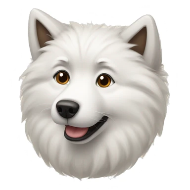 Samoyed with a raccoon sticker