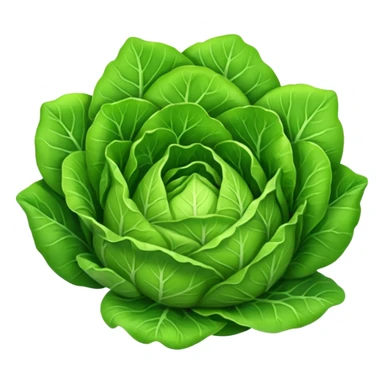 lettuce vegetable sticker