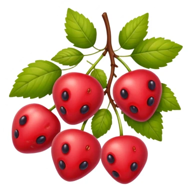 berries and wild berries sticker