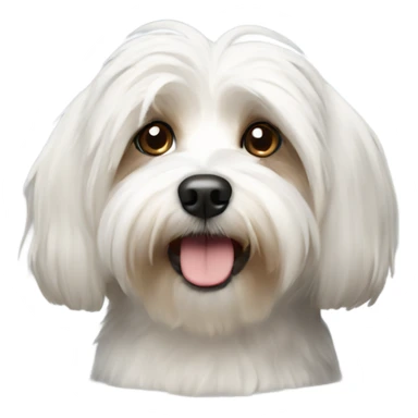 Havanese dog sticker