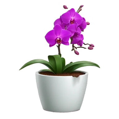 Orchid in a flowerpot sticker