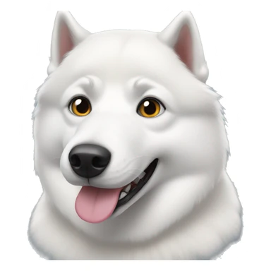 white husky with 2 different colored eyes sticker