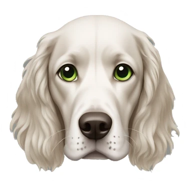 bald man, green eyes, older walking spaniel  sticker