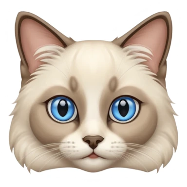 Ragdoll Siamese cat  sticker