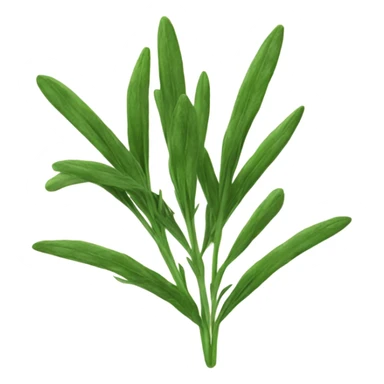 tarragon sticker