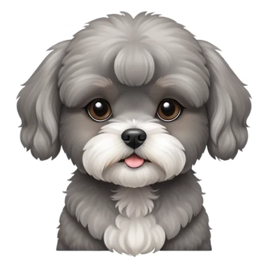 Grey Poodle Shih Tzu Girl Puppy sticker