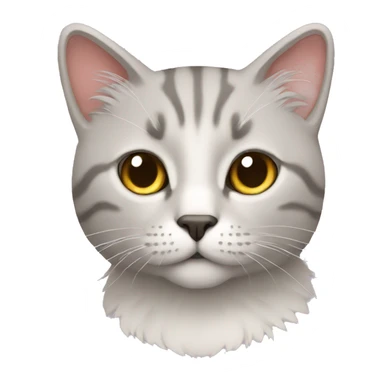 Un chat lit sticker