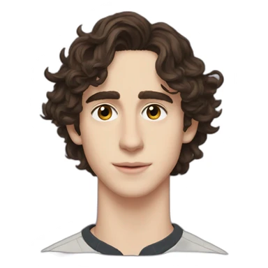 Thimothee Chalamet sticker