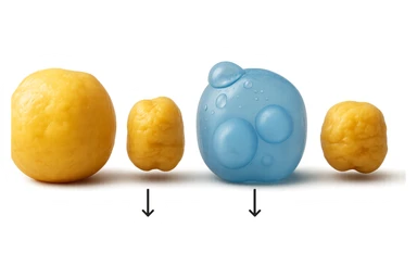 il processo di una cellula adiposa che si sgonfia, e si gonfia di acqua, falla identica all'immagine che ho allegato ma in 3d iperrealistica 4k sticker