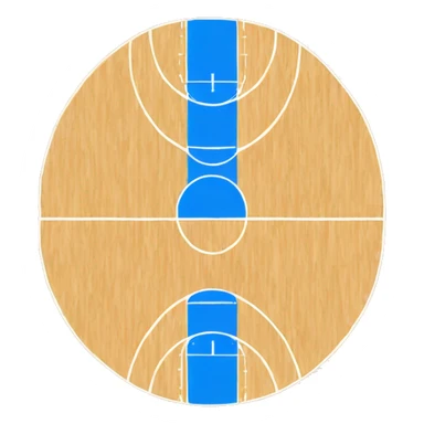 BASKETBALL COURT  sticker