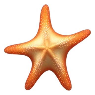 Seastar sticker
