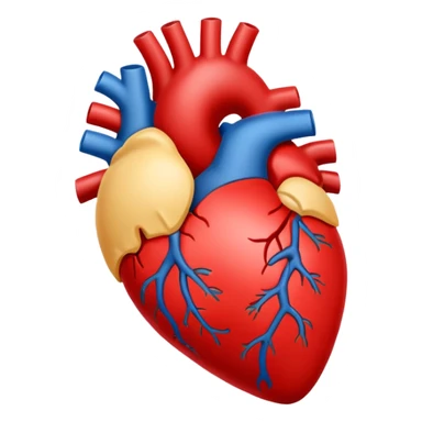 the contour of the heart sticker