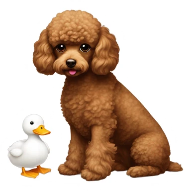 Brown toy-poodle with white toy duck sticker