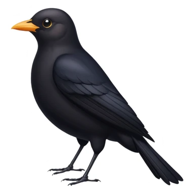 Blackbird sticker