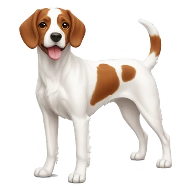 Brittany Dog Breed Full Body sticker