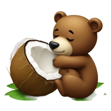 Bear kissing coconut  sticker
