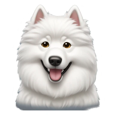Samoyedo  sticker