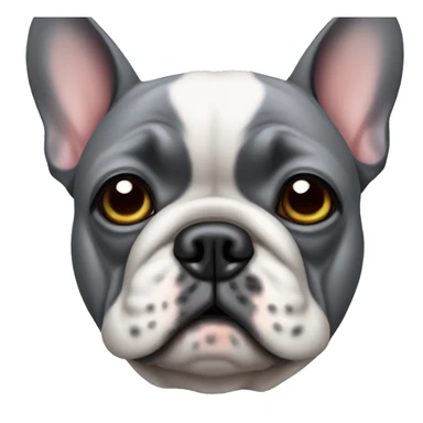Sad grey french bulldog sticker