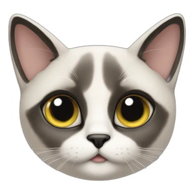 chat siamois sticker