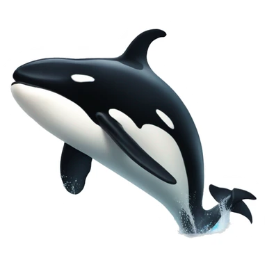  large black and white killer whale sticker