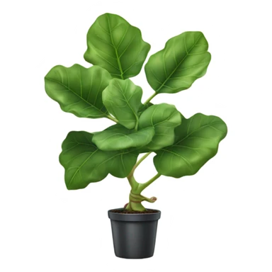 Fiddle leaf fig dancing sticker