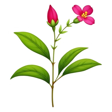 single Impatiens Balsamina flower stem sticker