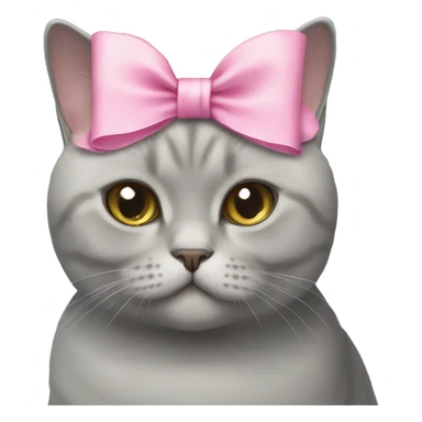 British shorthair cat with a pink bow sticker