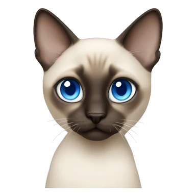 siamese cat blue eyes boy  sticker
