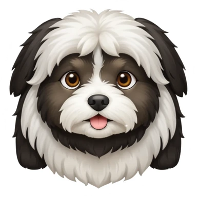Black and white Havanese dog sticker