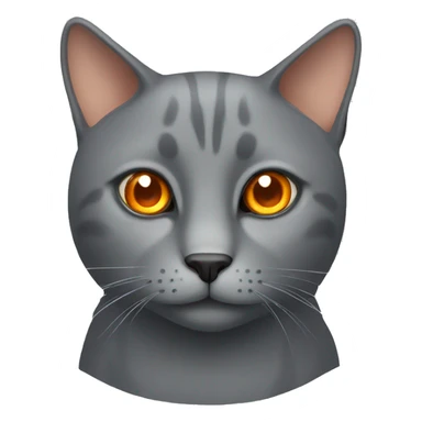 grey cat with orange eyes sticker